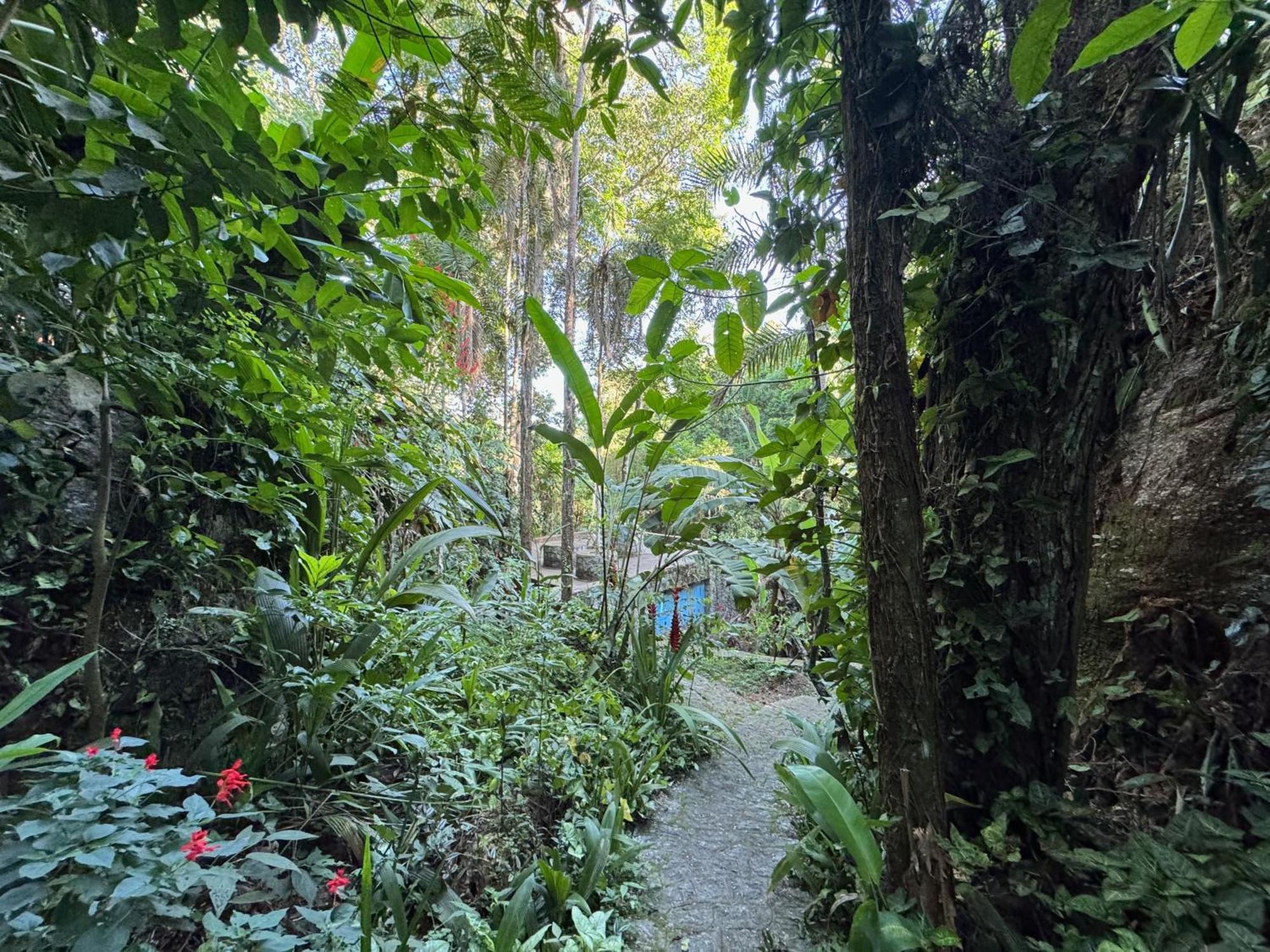 Guest house Cachoeira Da Rocha