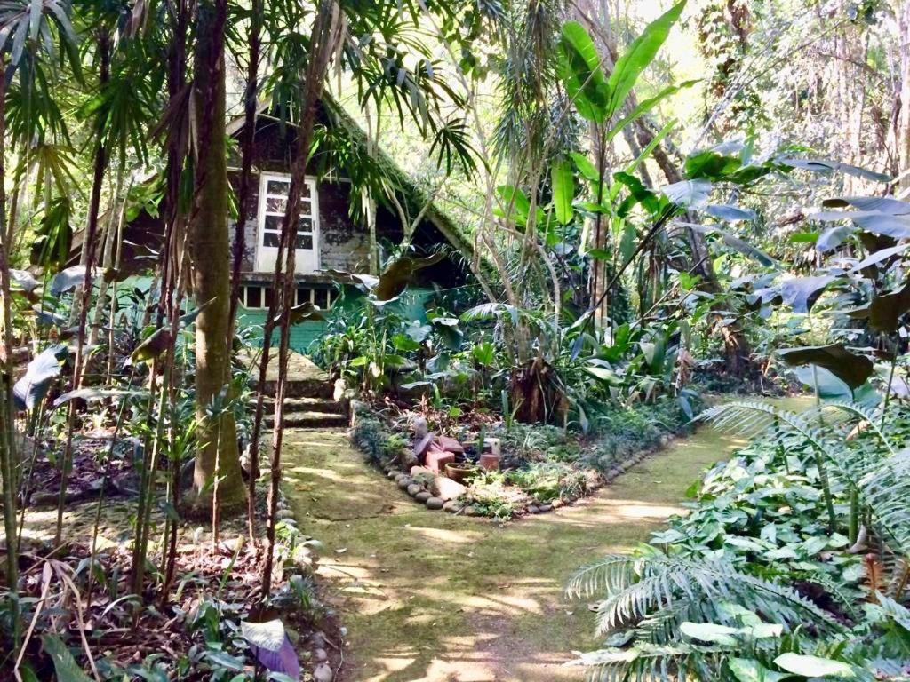 Cachoeira Da Rocha * Ilhabela